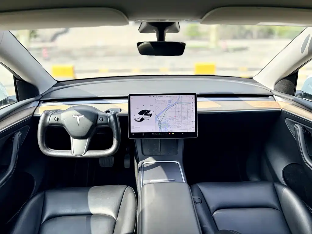 Tesla Model Y — миниатюра 7