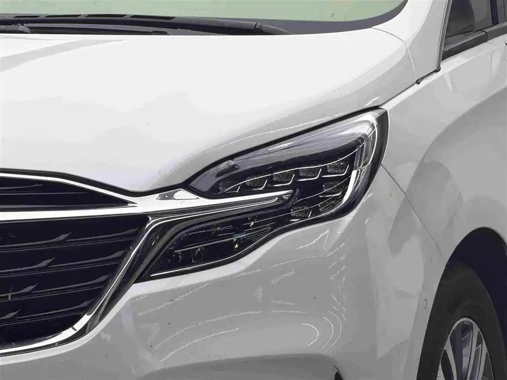 Buick GL8 — миниатюра 3
