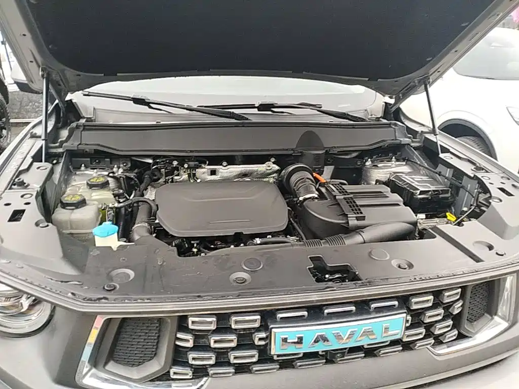 Haval Big Dog PLUS New Energy — миниатюра 20