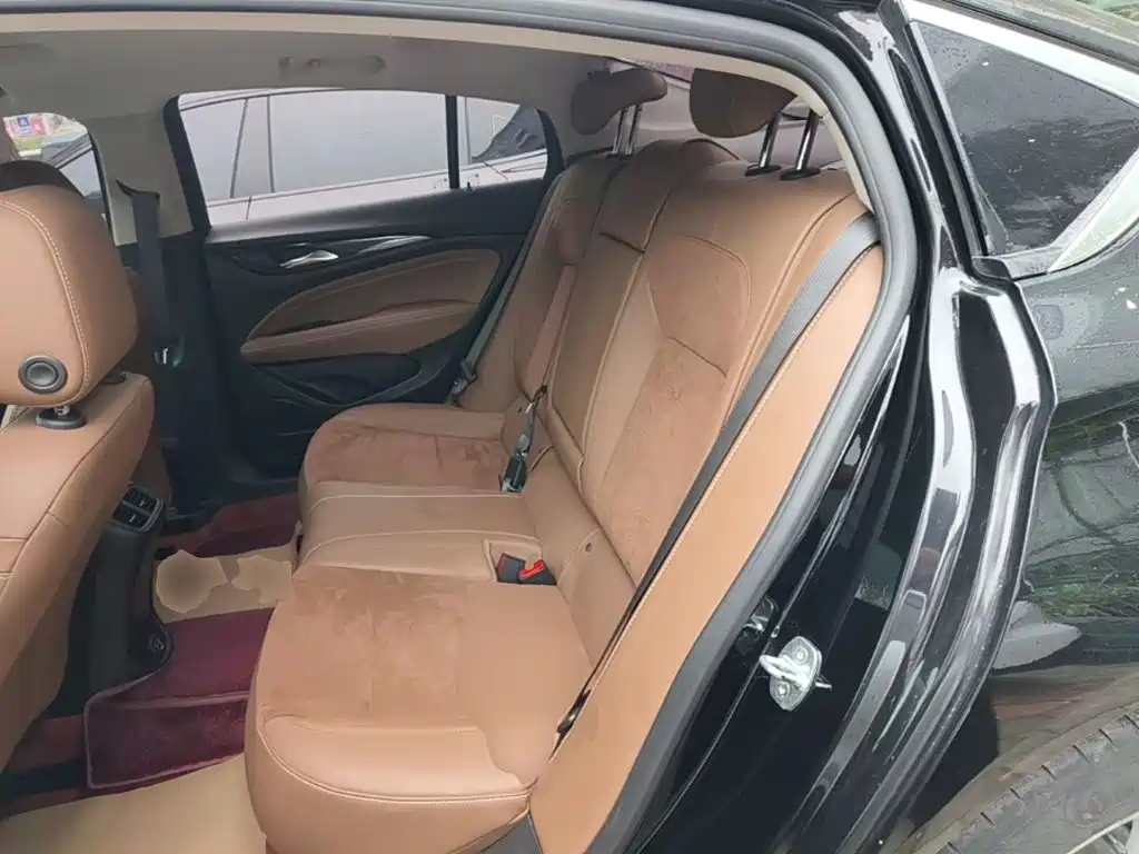 Buick Regal — миниатюра 17