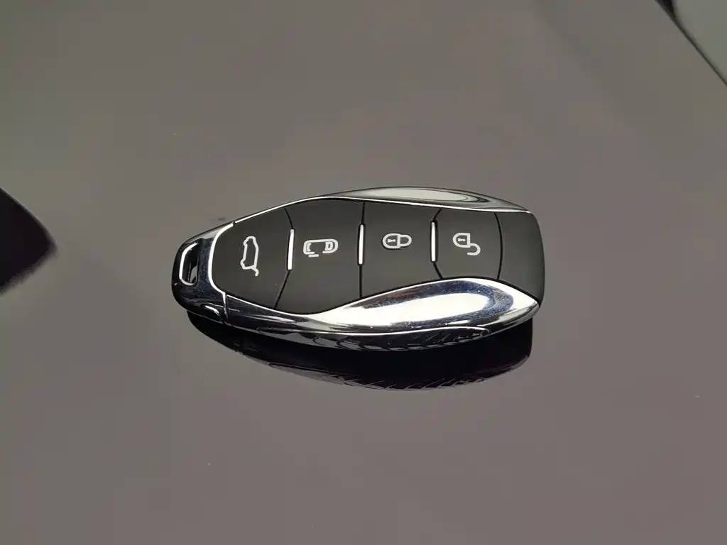 Hongqi Hongqi HQ9 — миниатюра 19