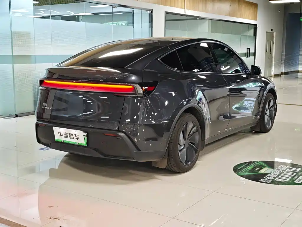 Tesla Model Y — миниатюра 4
