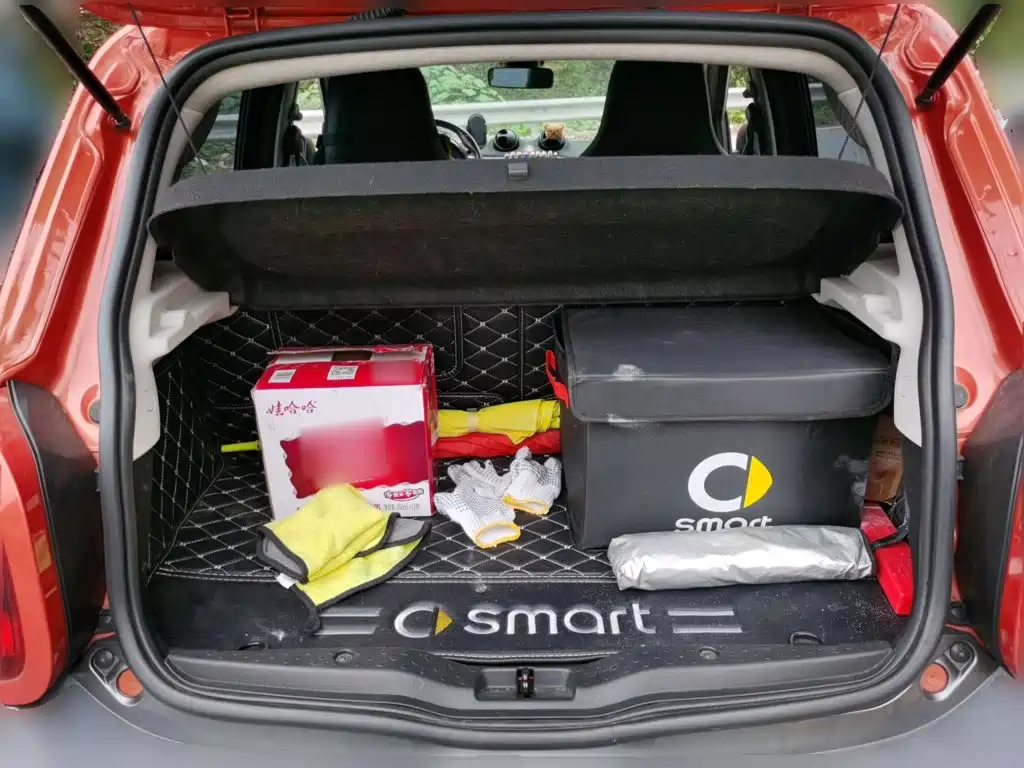smart Smart Forfour — миниатюра 15