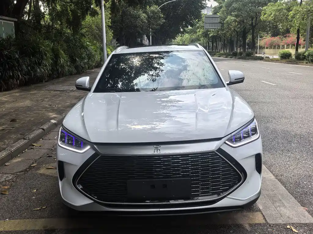 BYD PLUS New Energy — миниатюра 2
