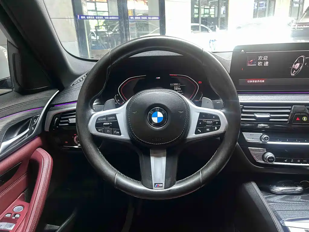BMW 5 Series (Import) — миниатюра 10