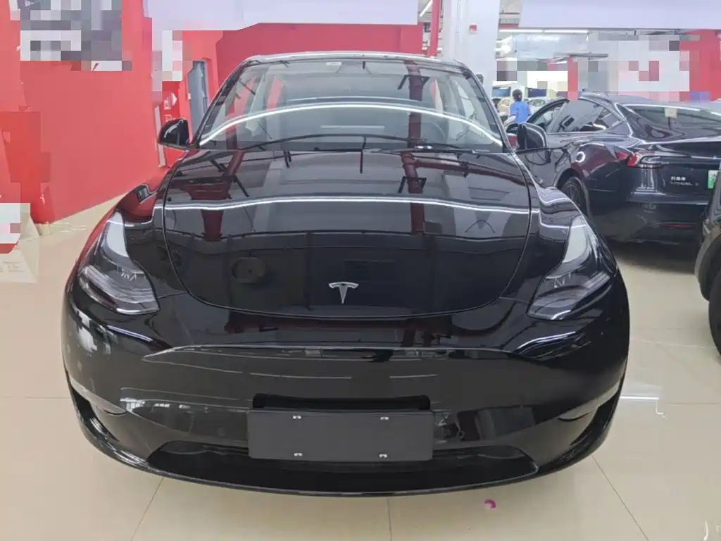Tesla Model Y — миниатюра 3