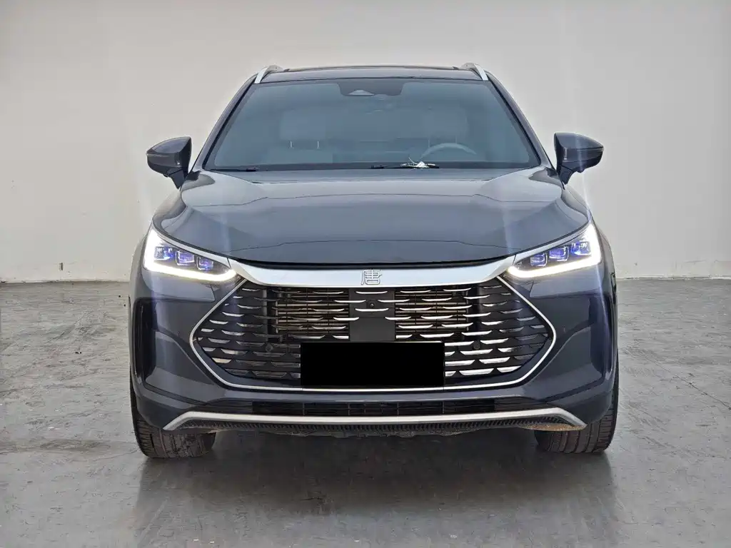 BYD Tang New Energy — миниатюра 2