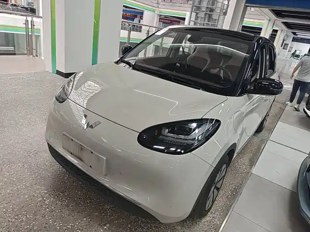 2024 Wuling Motors Binguo