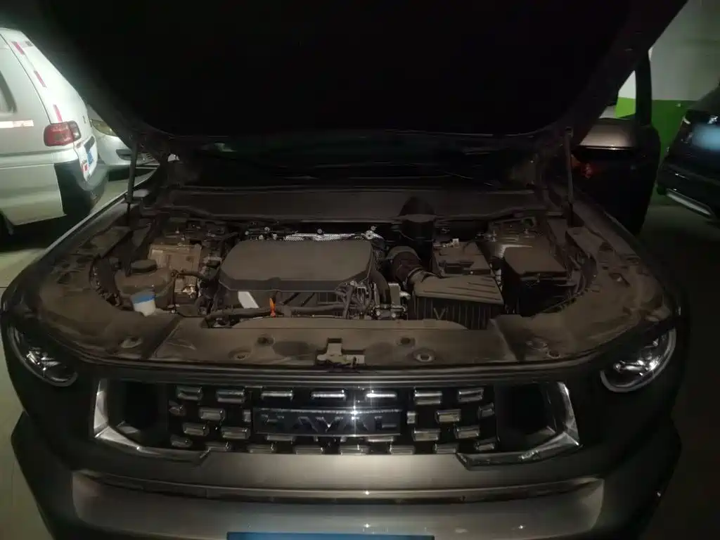Haval Haval Big Dog PLUS — миниатюра 11