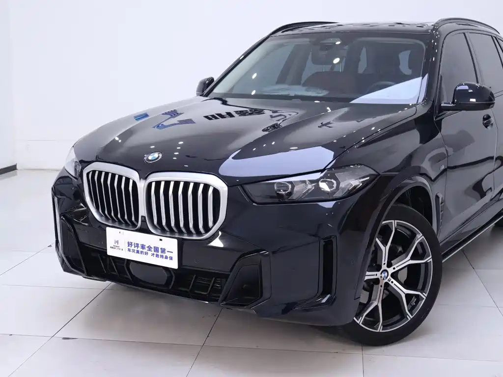 BMW X5 — миниатюра 3