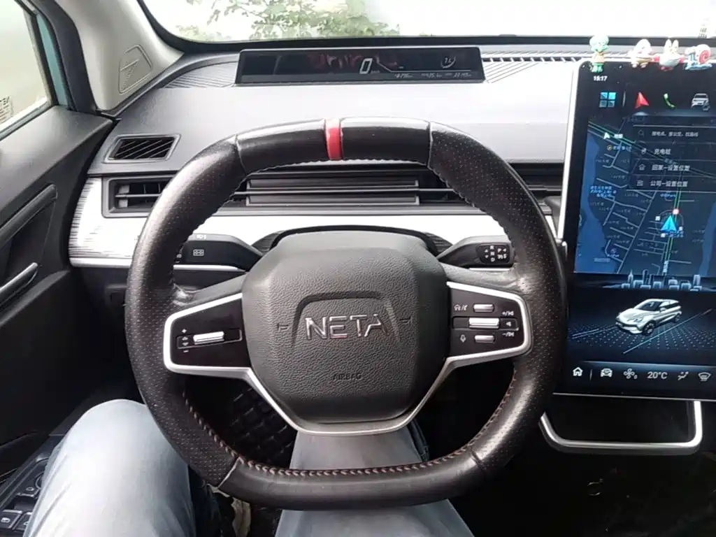 Neta Neta V — миниатюра 11