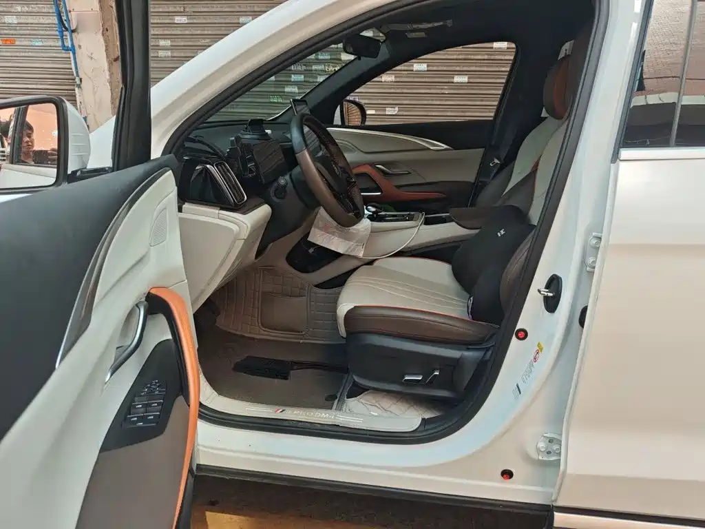 BYD Pro New Energy — миниатюра 12