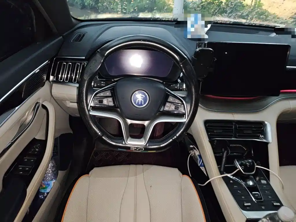 BYD PLUS New Energy — миниатюра 11