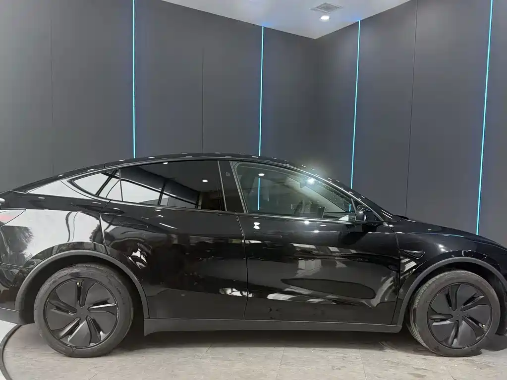 Tesla Model Y — миниатюра 4