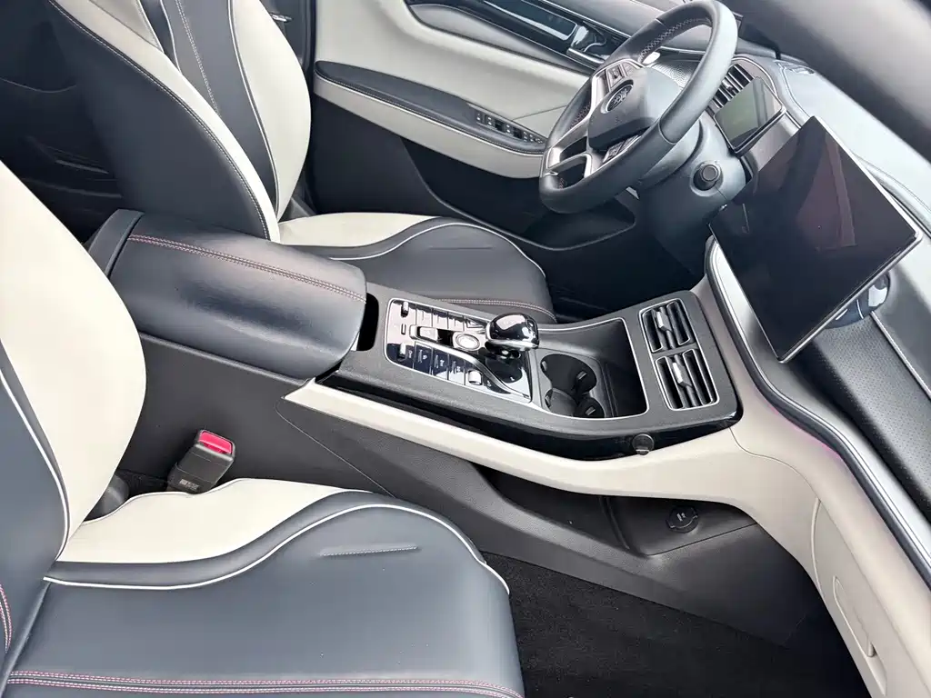 BYD Qin PLUS — миниатюра 11