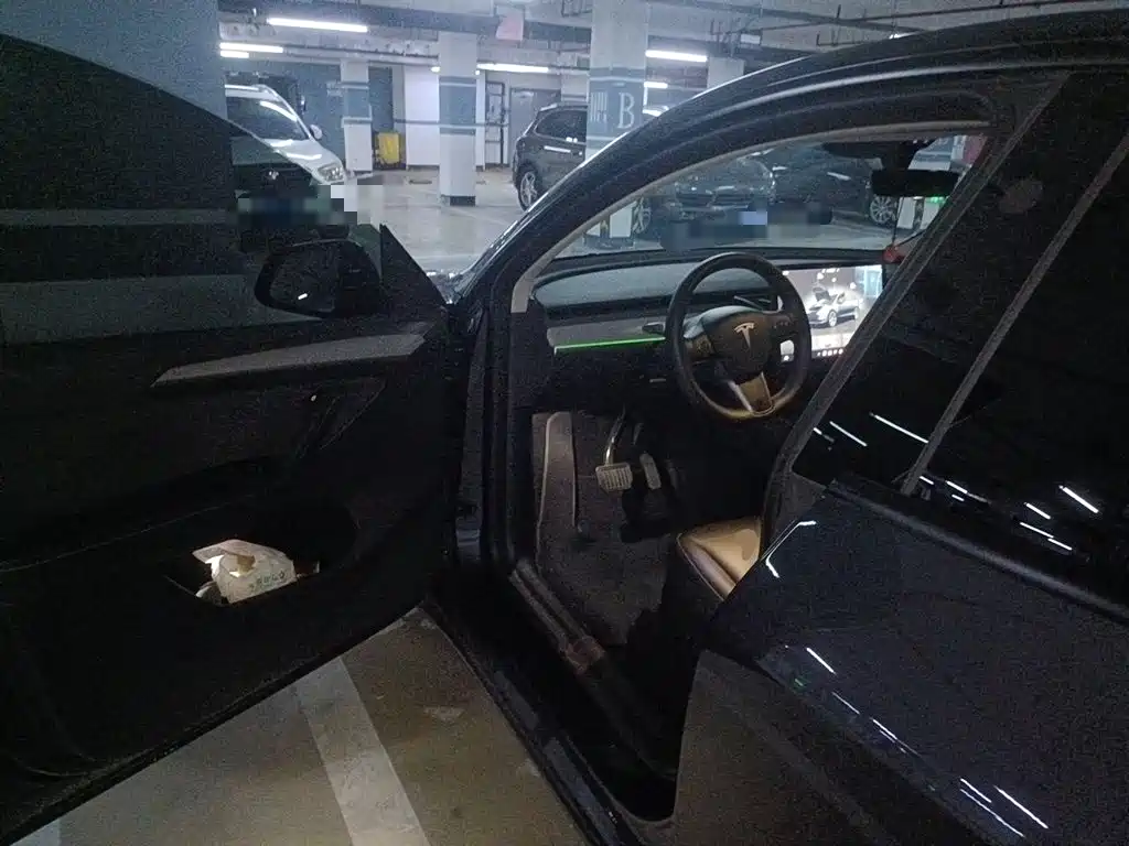 Tesla Model Y — миниатюра 12