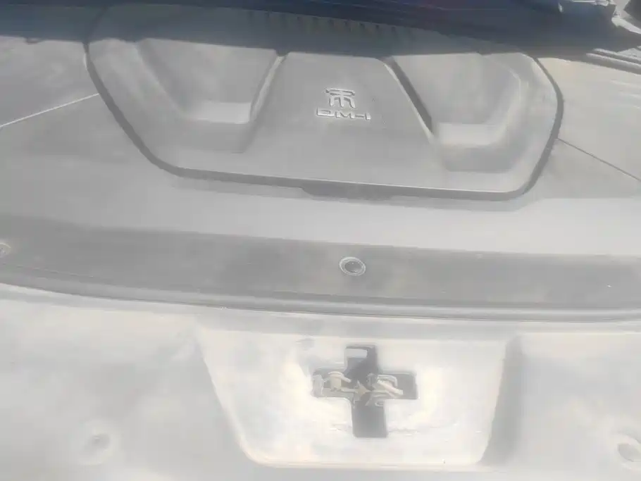 BYD PLUS New Energy — миниатюра 10