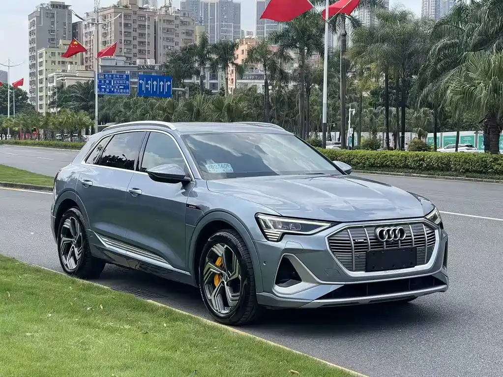 Audi e-tron — миниатюра 3
