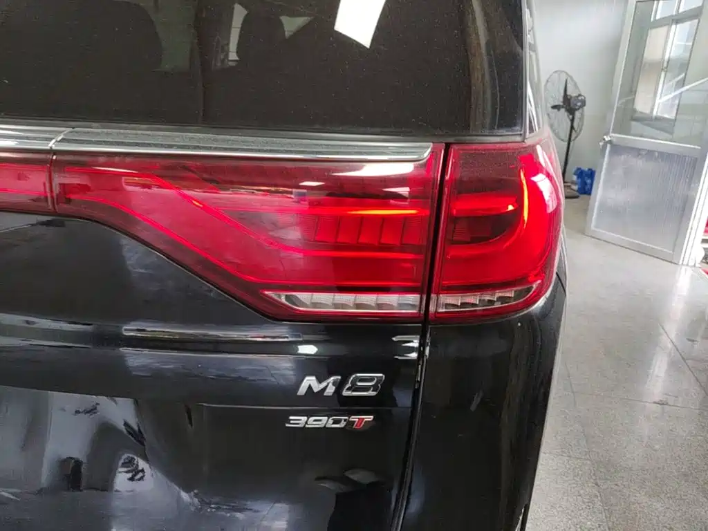 GAC Motor Trumpchi M8 — миниатюра 8