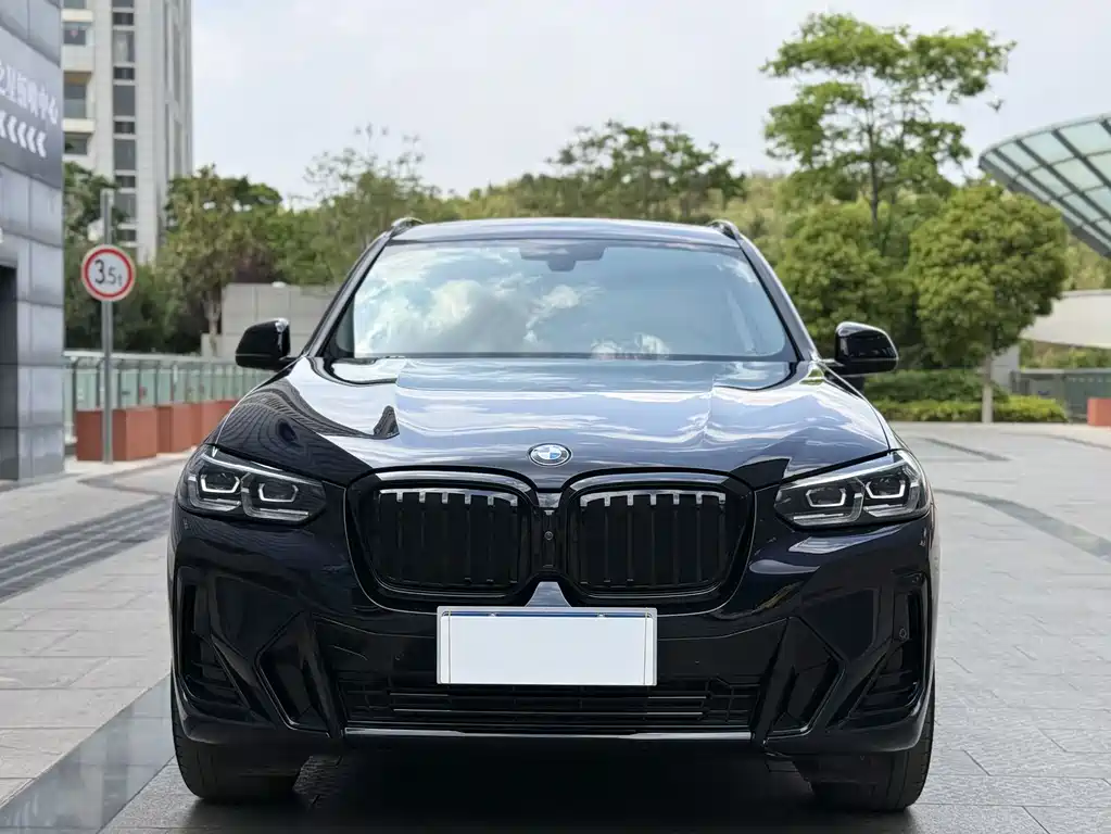 BMW X3 2023 xDrive30i Lead M