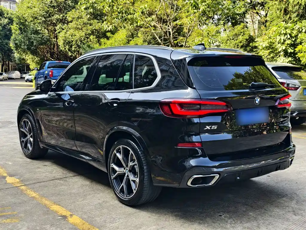 BMW X5 (Import) — миниатюра 8