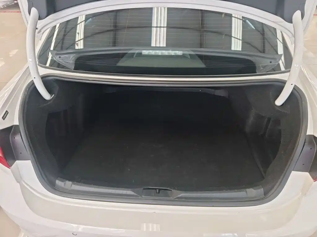 Volkswagen Lamando — миниатюра 15