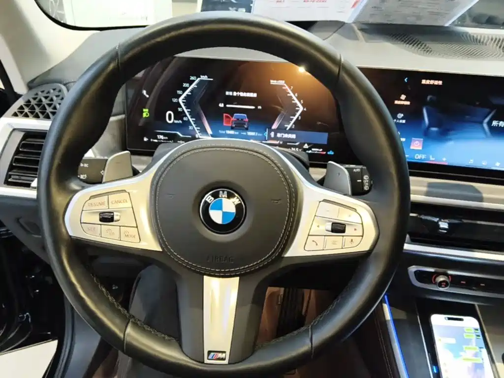 BMW X5 — миниатюра 11