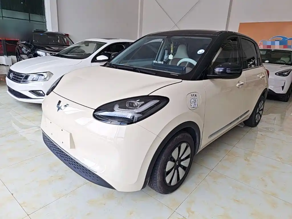 Wuling Bingo
