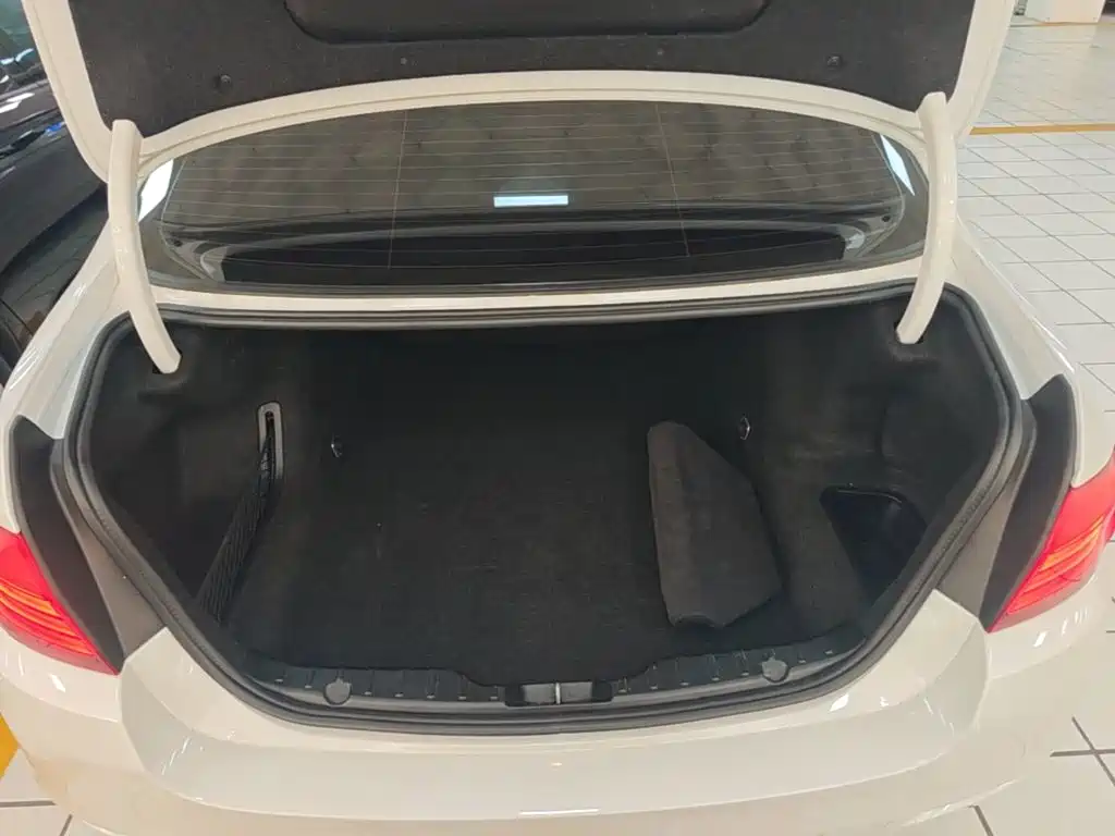 BMW 5 Series — миниатюра 19