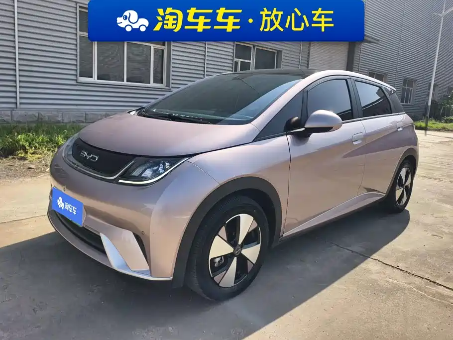 2023 BYD Dolphin - zdjęcie 1 z 16