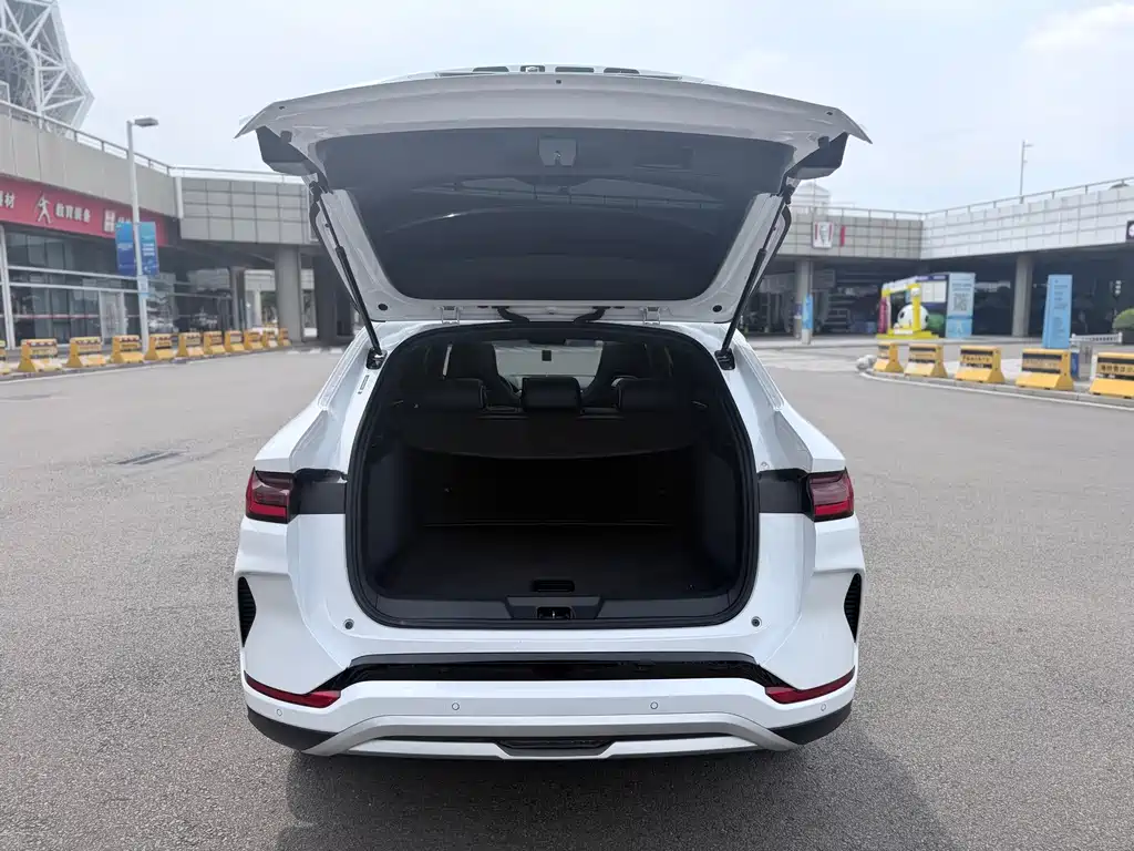 BYD PLUS New Energy — миниатюра 10