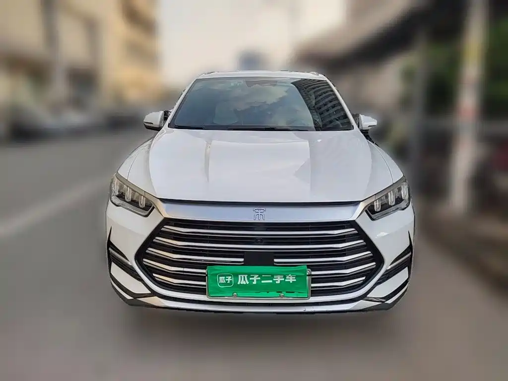BYD Pro New Energy — миниатюра 24