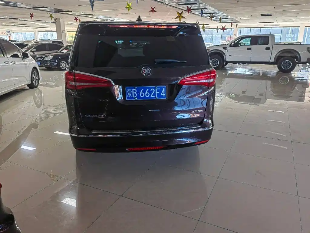 Buick GL8 — миниатюра 7