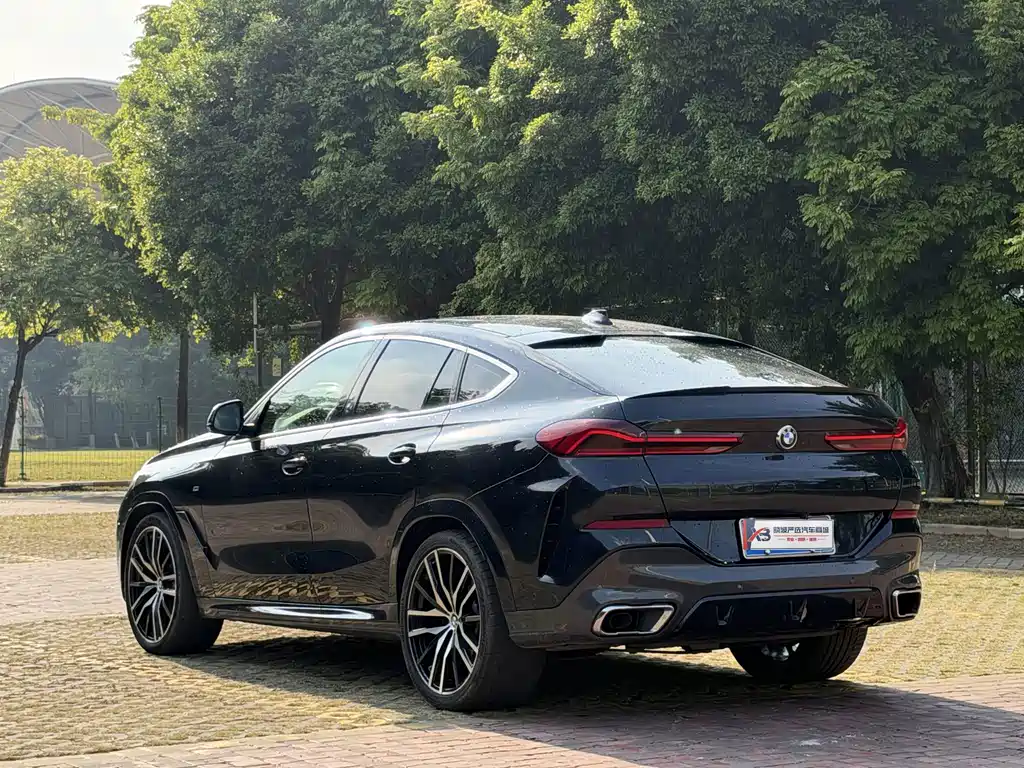 BMW X6 — миниатюра 5