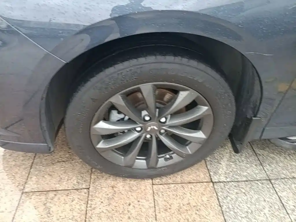 Wuling Victory — миниатюра 23