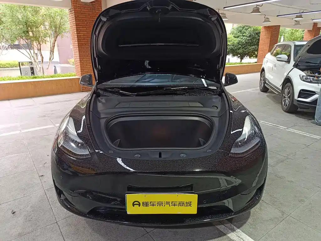 Tesla Model Y — миниатюра 18