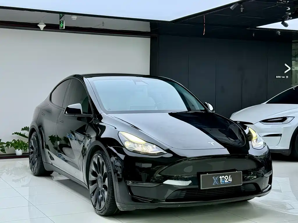 Tesla Model Y — миниатюра 3