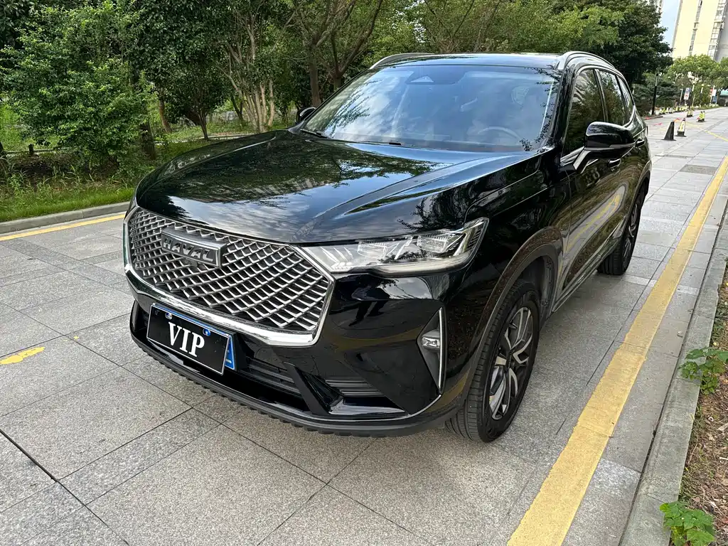 Haval H6 — миниатюра 2