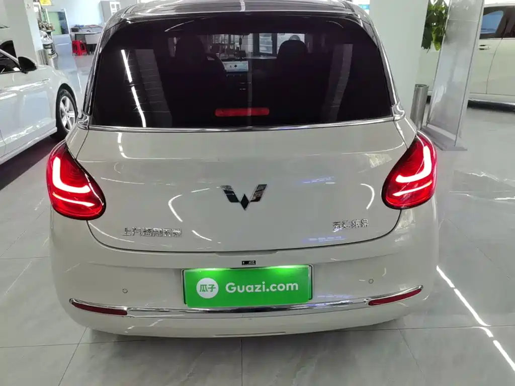 Wuling Binguo 2024 333km Enjoy