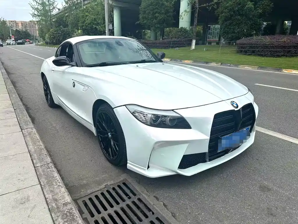 BMW Z4 2009 sDrive23i Lead