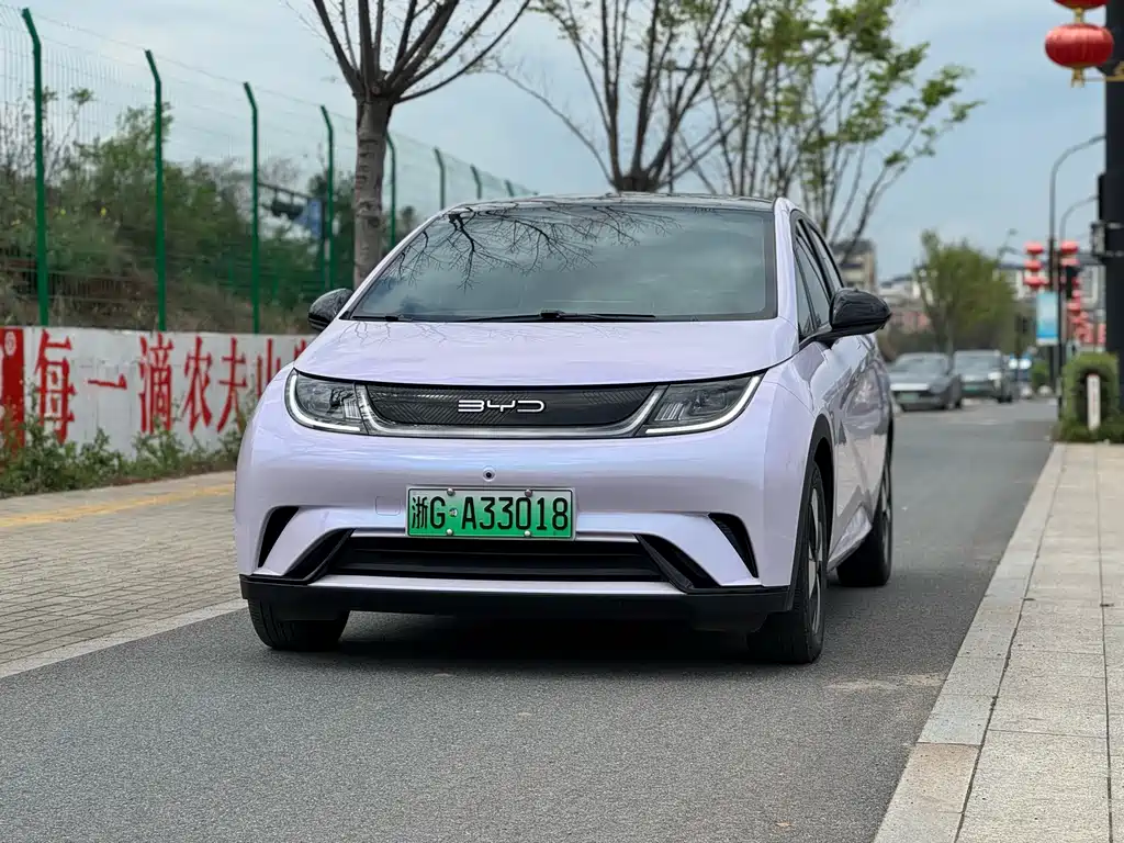 2023 BYD Dolphin - zdjęcie 1 z 18