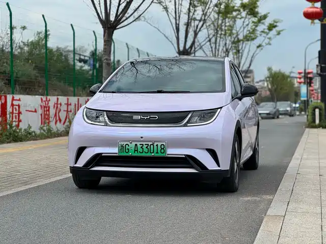 2023 BYD Dolphin