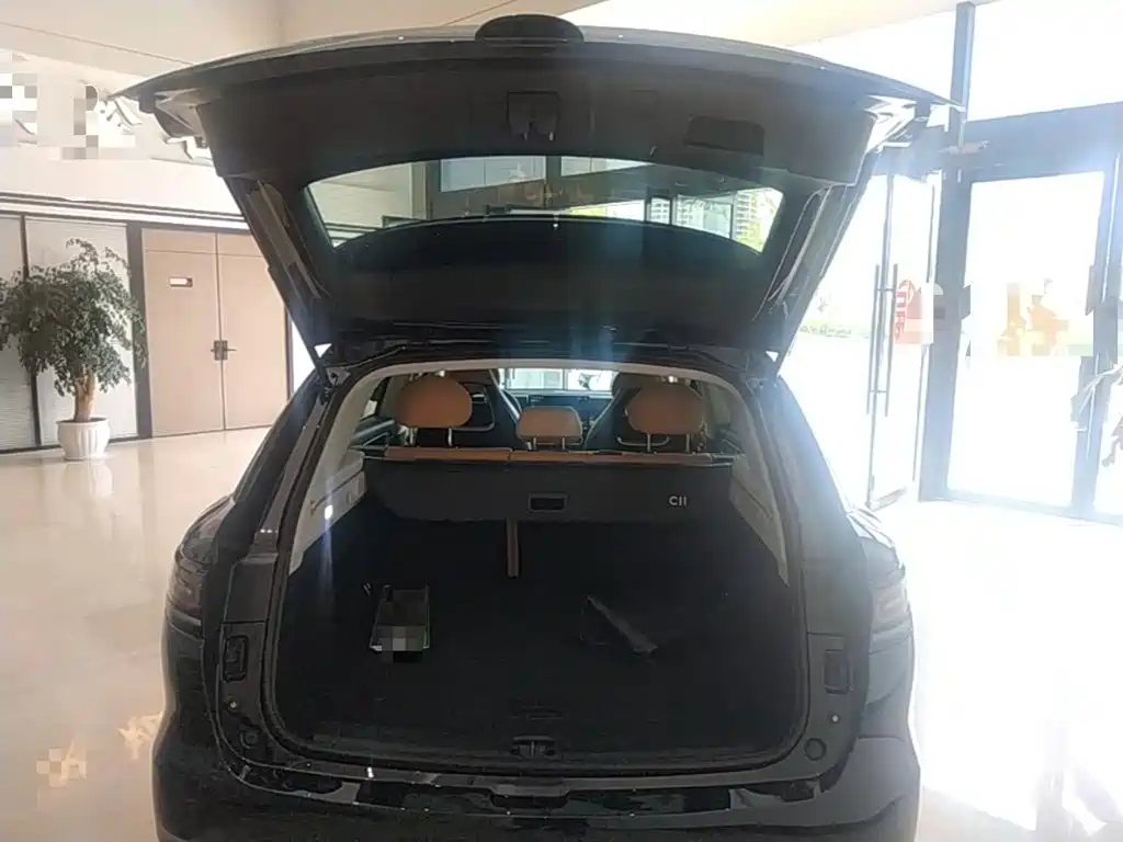 Leapmotor Leapmotor C11 — миниатюра 19