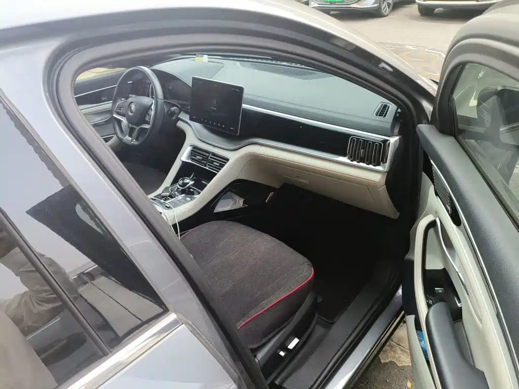 BYD PLUS New Energy — миниатюра 19