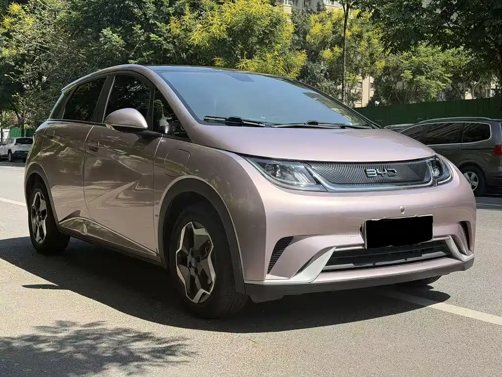 BYD Dolphin — миниатюра 2
