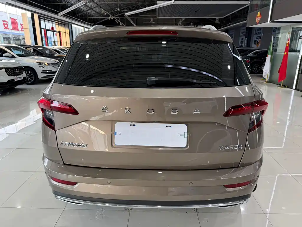Skoda Karoq TSI280 Premium Edition, фото 9