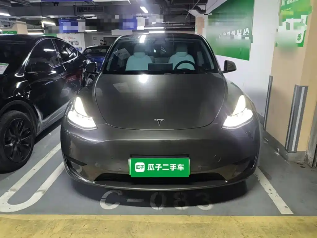 Tesla Model Y — миниатюра 3