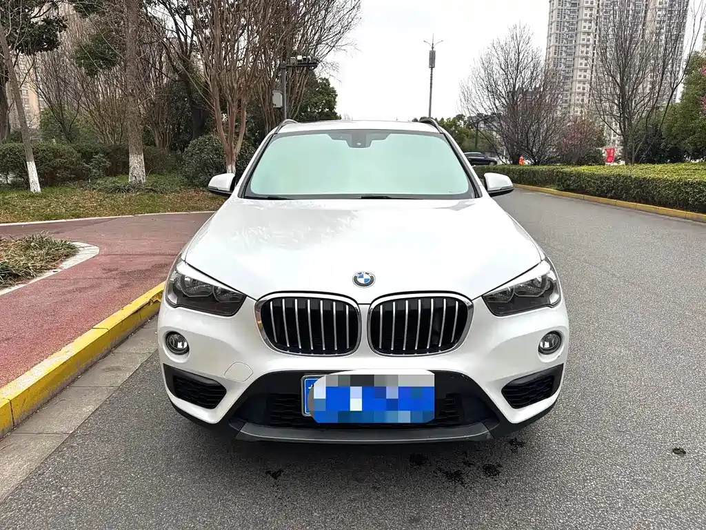 BMW X1 — миниатюра 2