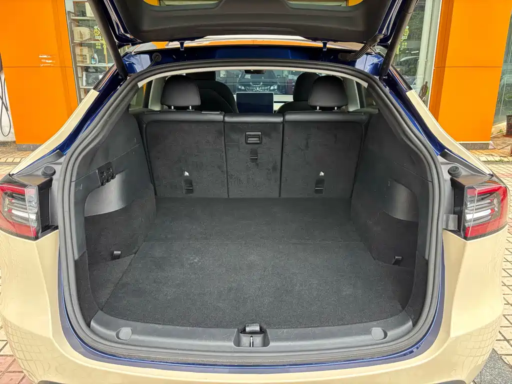 Tesla Model Y — миниатюра 33