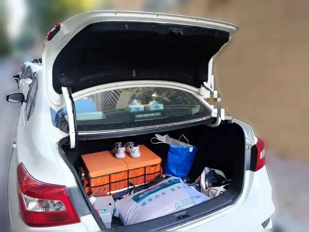 Nissan Sylphy — миниатюра 15